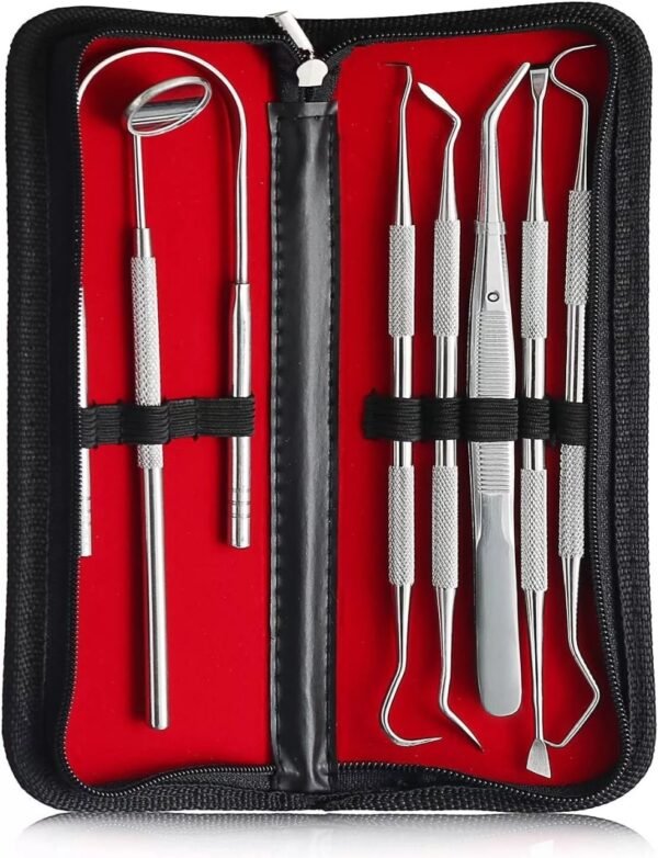 Professional Dental Teeth Cleaning Kit with Multi Floss – Stainless Steel Tools for Plaque & Tartar Removal.