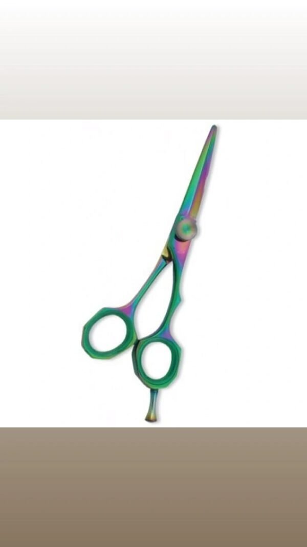 Rainbow Titanium Hair Scissor with a sleek ergonomic design and vibrant titanium finish.